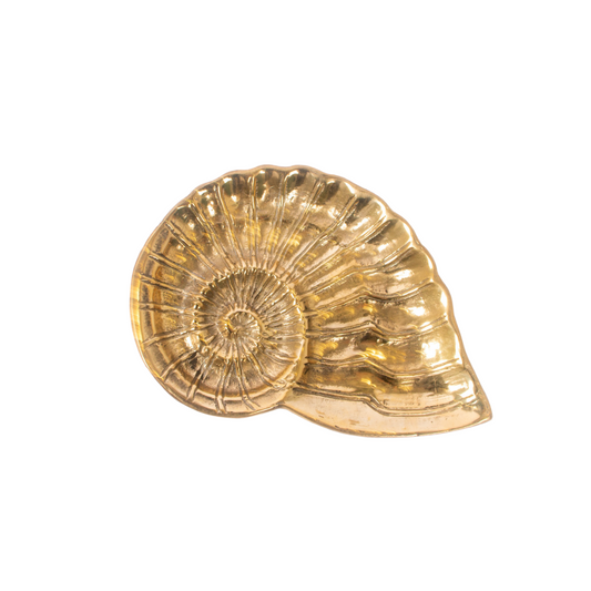 Metal Shell Dish